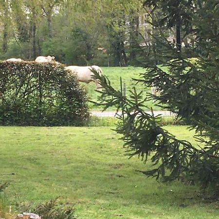 Cottage De Charme A La Campagne Aulnoy Luaran gambar