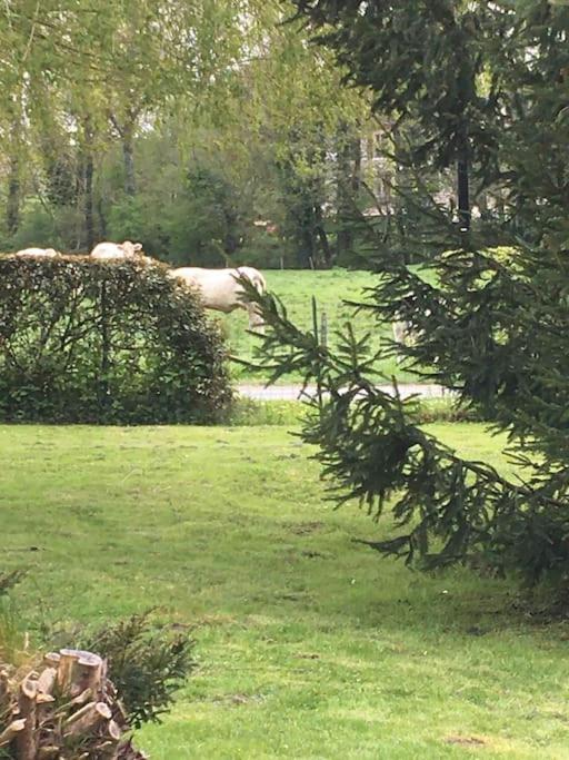 Cottage De Charme A La Campagne Aulnoy Luaran gambar