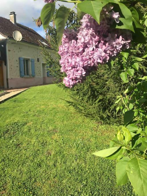 Cottage De Charme A La Campagne Aulnoy Luaran gambar